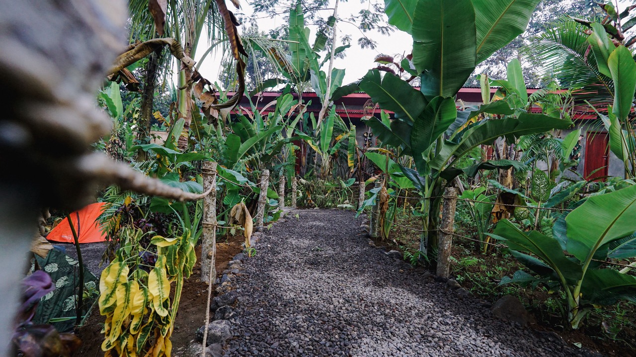 Photo of Outdoor in Sebatu