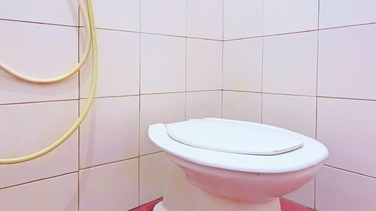 Photo of Bathroom in Waitabula