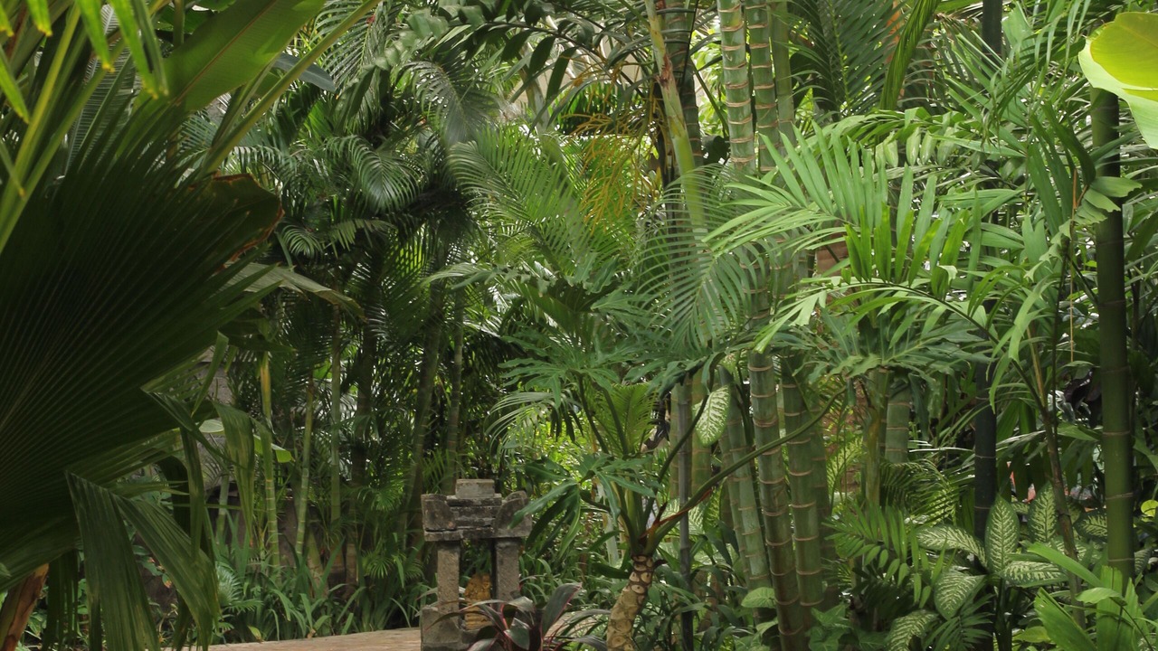 Photo of Outdoor in Legian