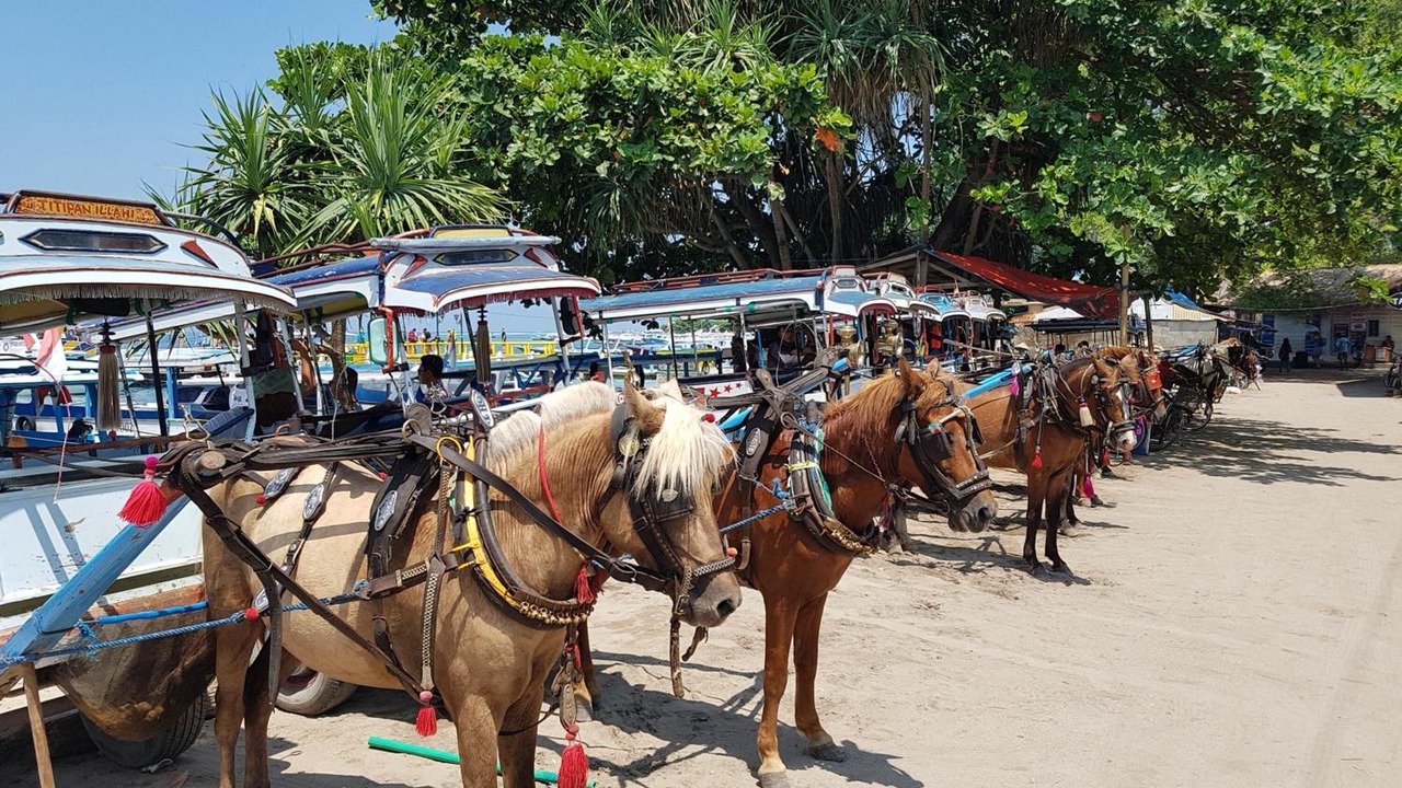 Photo of Others in Gili Air