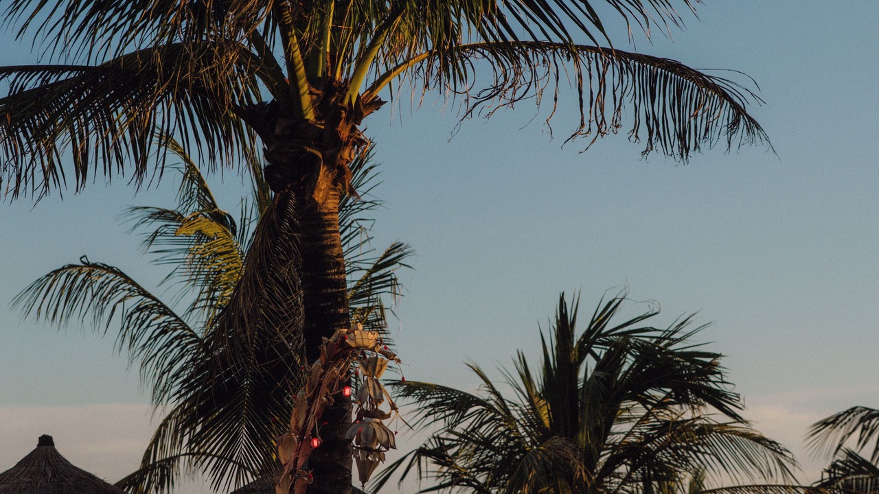 Photo of Others in Seminyak
