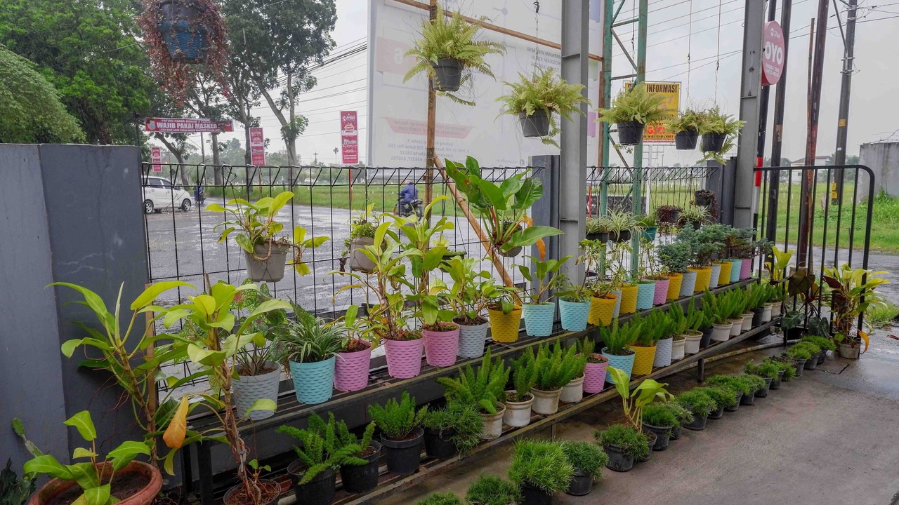 Photo of Outdoor in Purwokerto