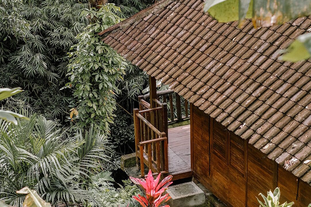 Photo of Outdoor in Payangan