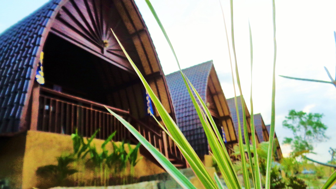 Photo of Outdoor in Sampalan
