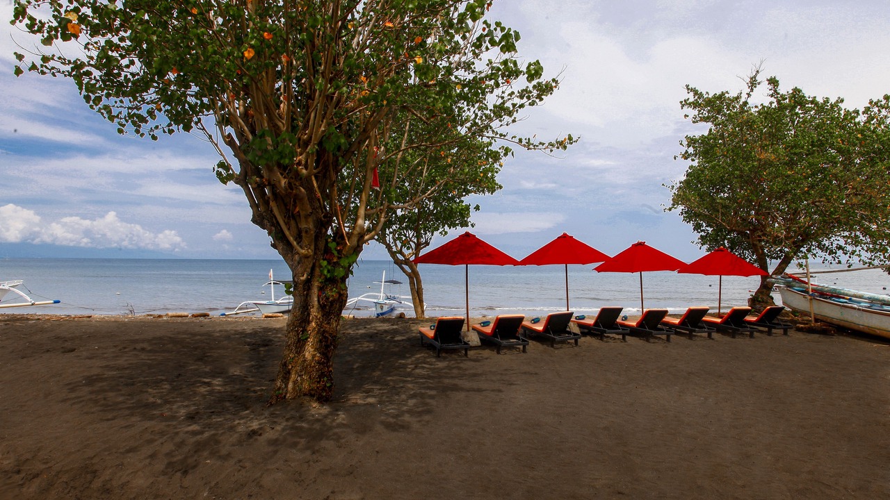 Photo of Outdoor in Lovina