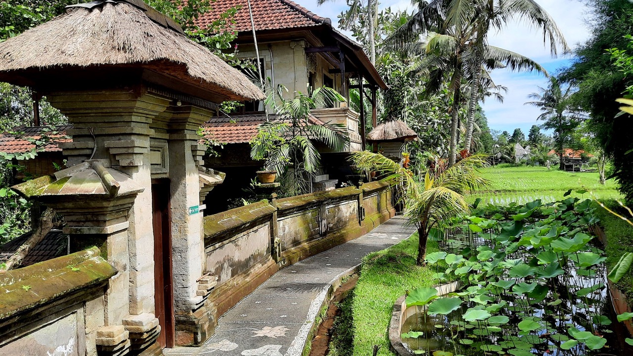Photo of Outdoor in Nyuh Kuning