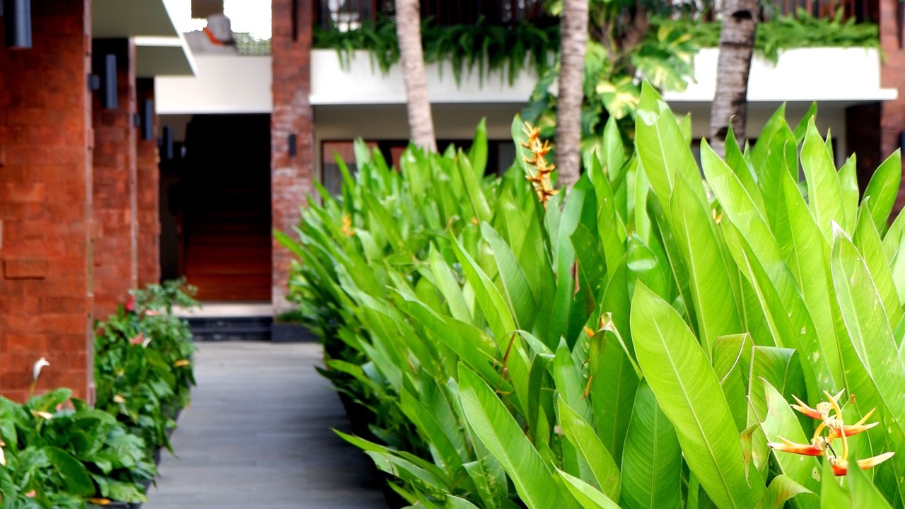 Photo of Outdoor in Sanur