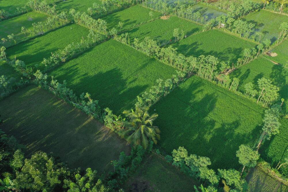 Photo of Outdoor in Kuta