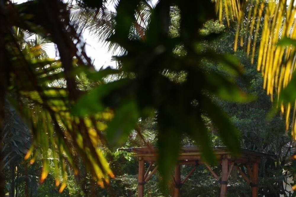 Photo of Outdoor in Kuta
