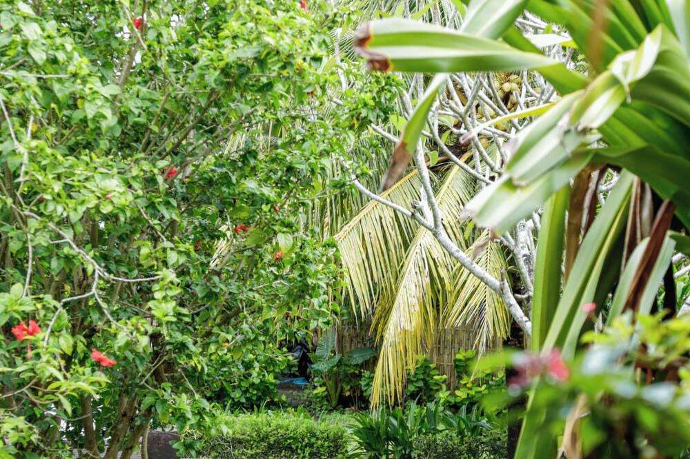 Photo of Outdoor in Kuta