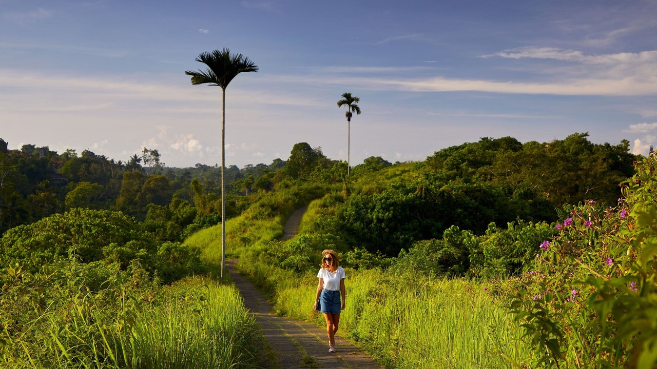 Photo of Outdoor in Petulu