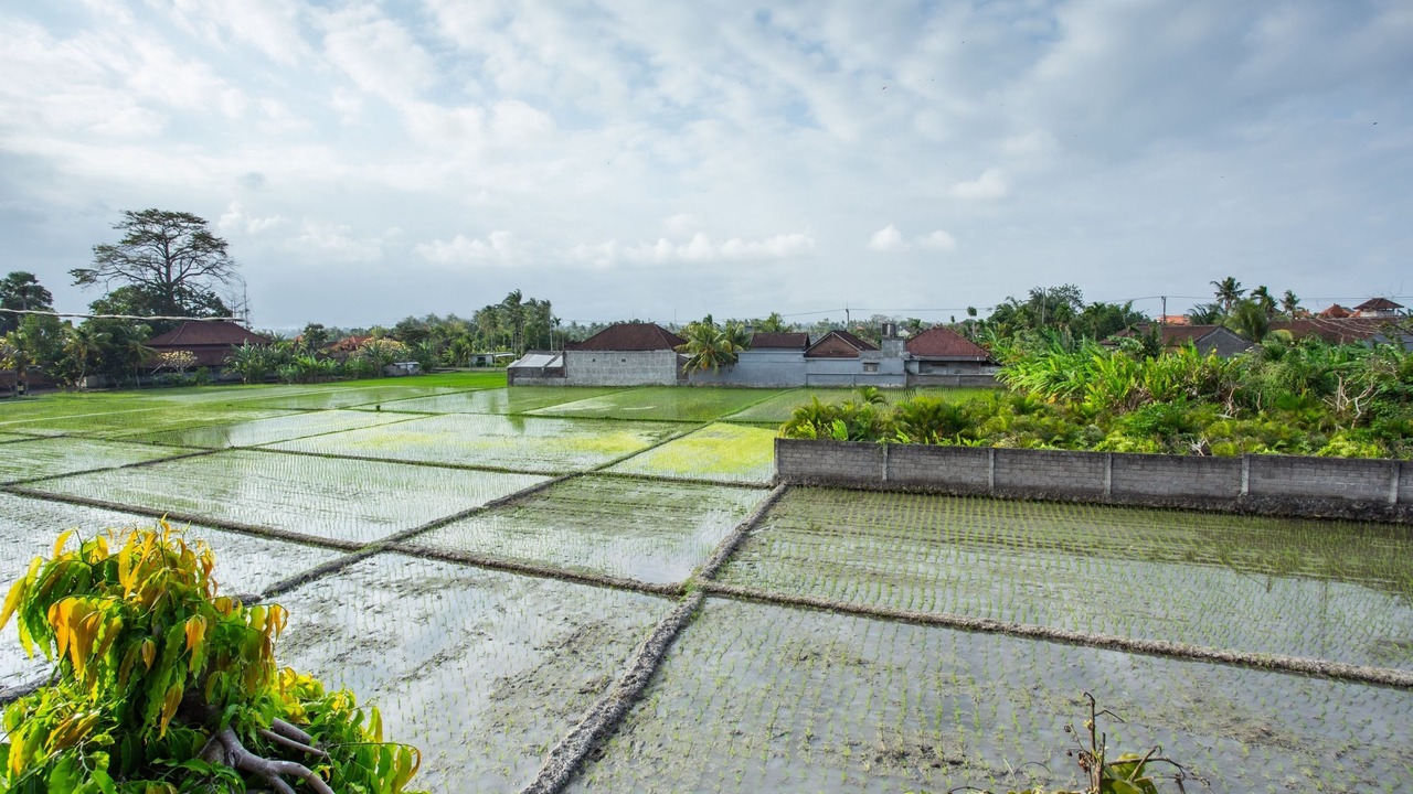 Photo of Others in Seseh
