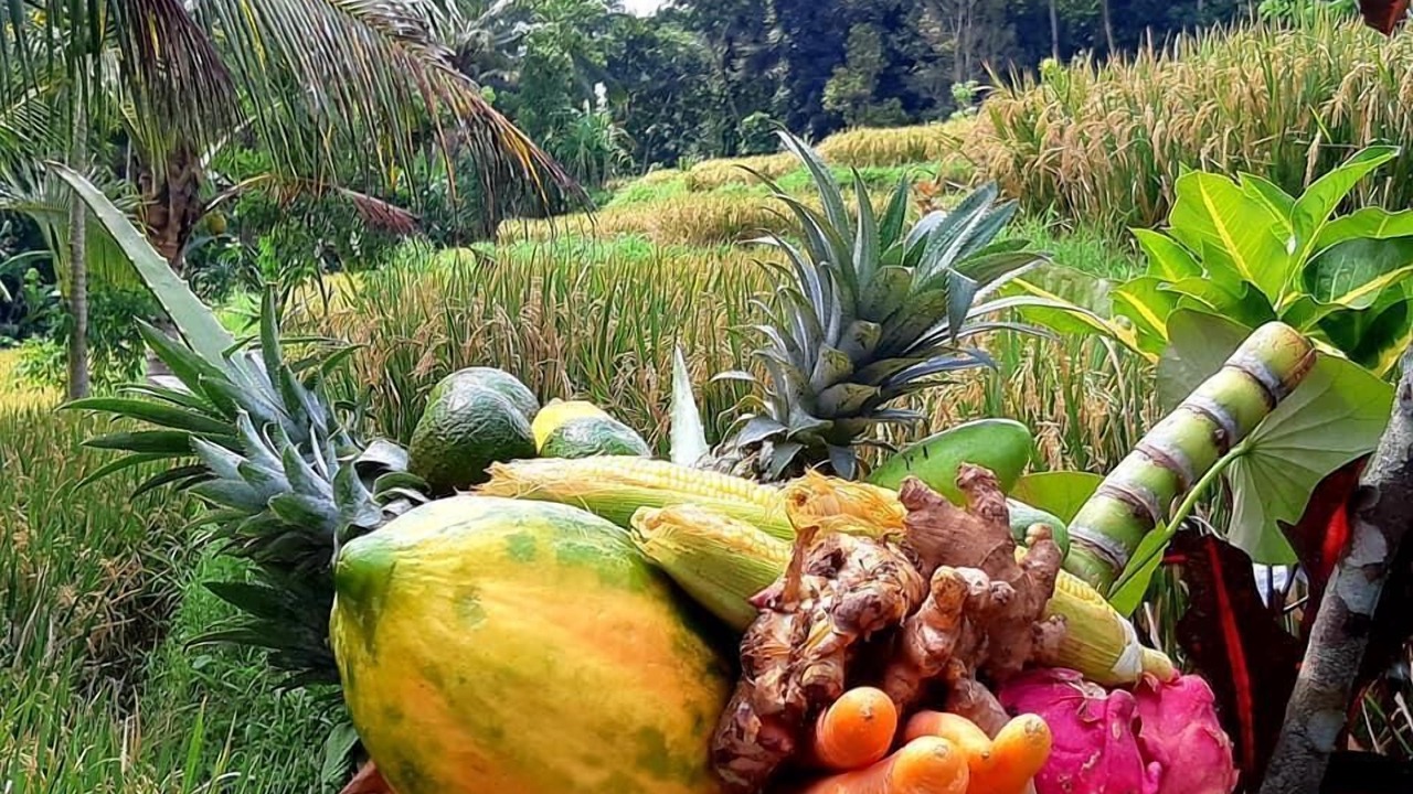 Photo of Outdoor in Sambahan
