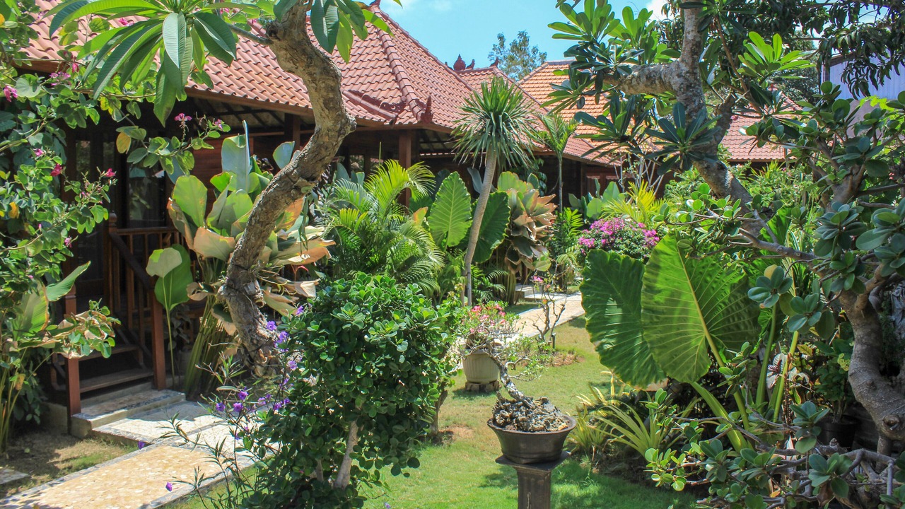Photo of Outdoor in Mushroom Bay