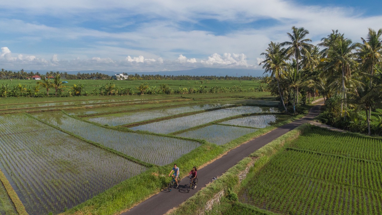 Photo of Outdoor in Kediri