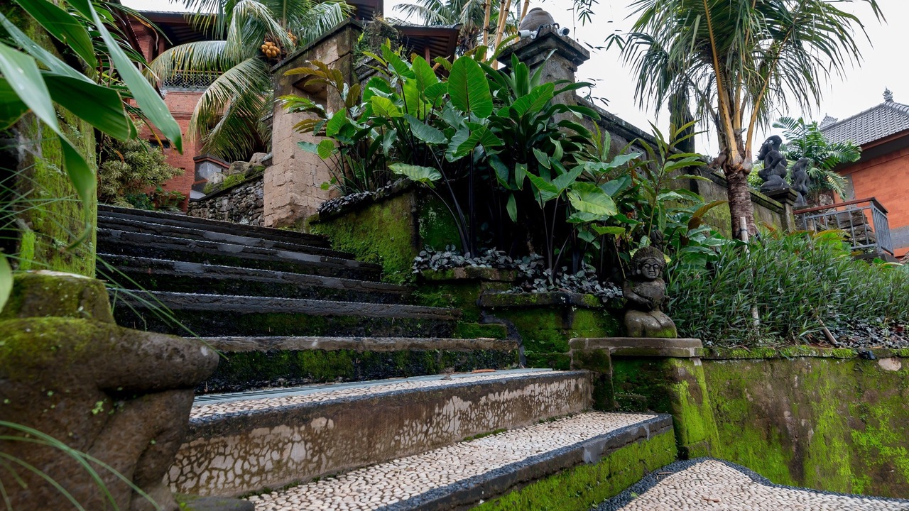 Photo of Outdoor in Kedewatan