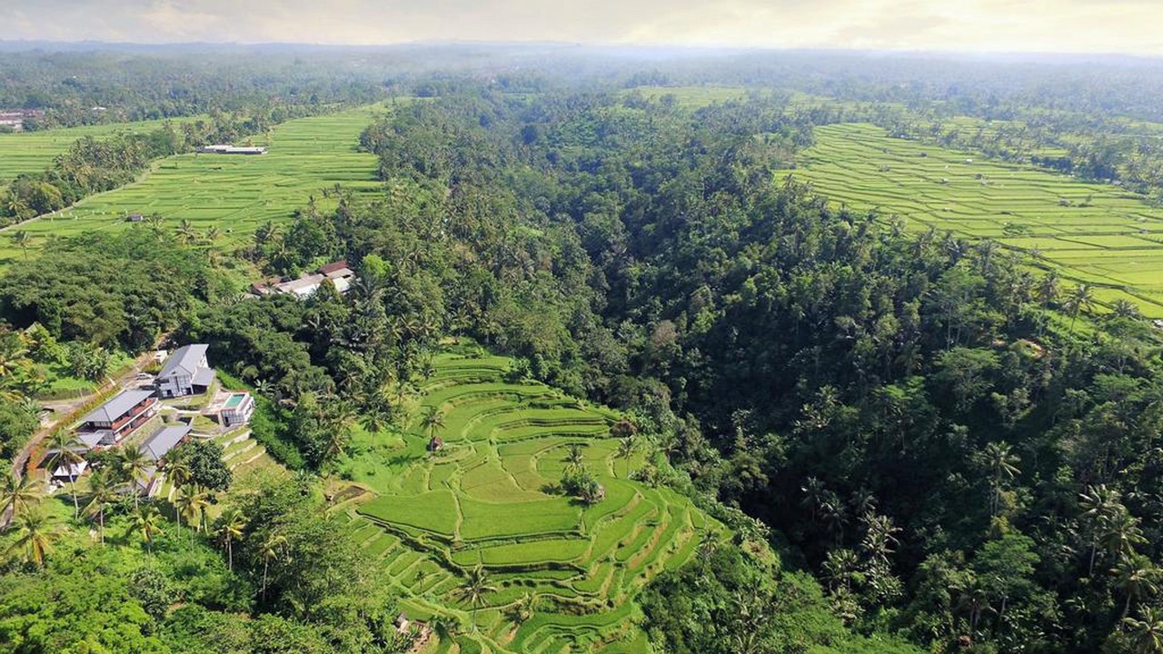 Photo of Outdoor in Sebatu