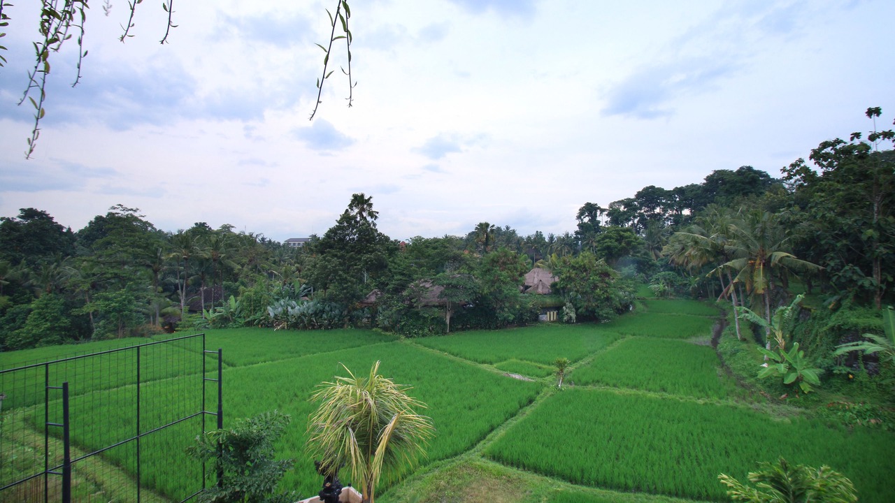 Photo of Others in Pengosekan