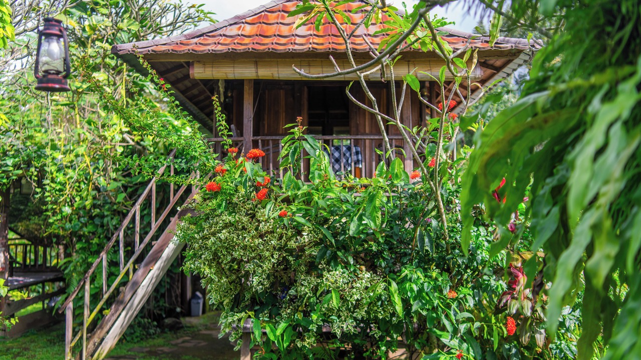 Photo of Bedroom in Pemaron