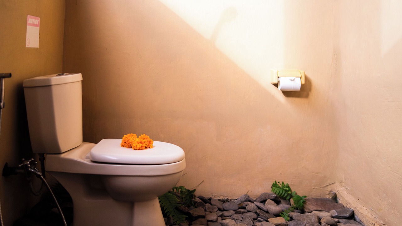 Photo of Bathroom in Pemaron