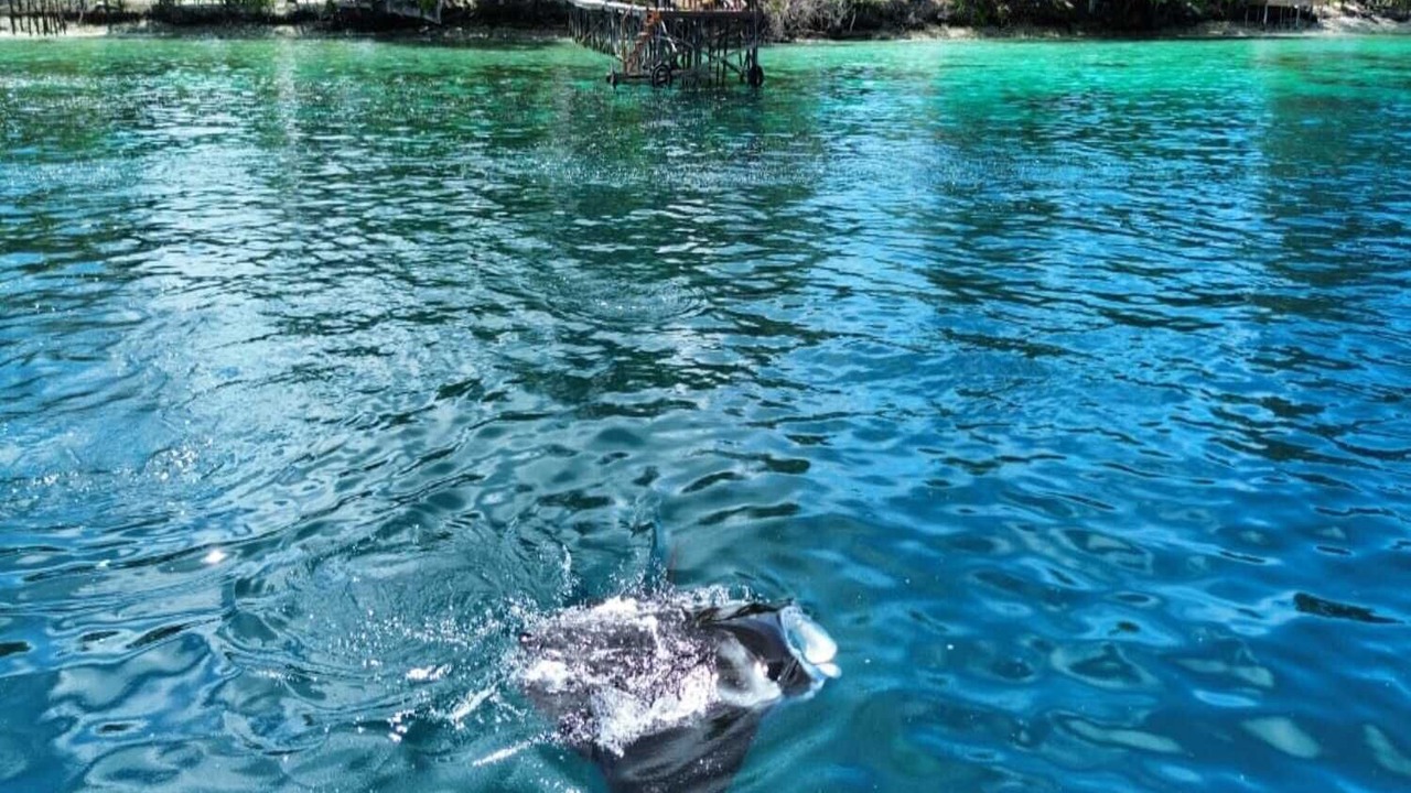 Photo of Outdoor in Pulau Fam