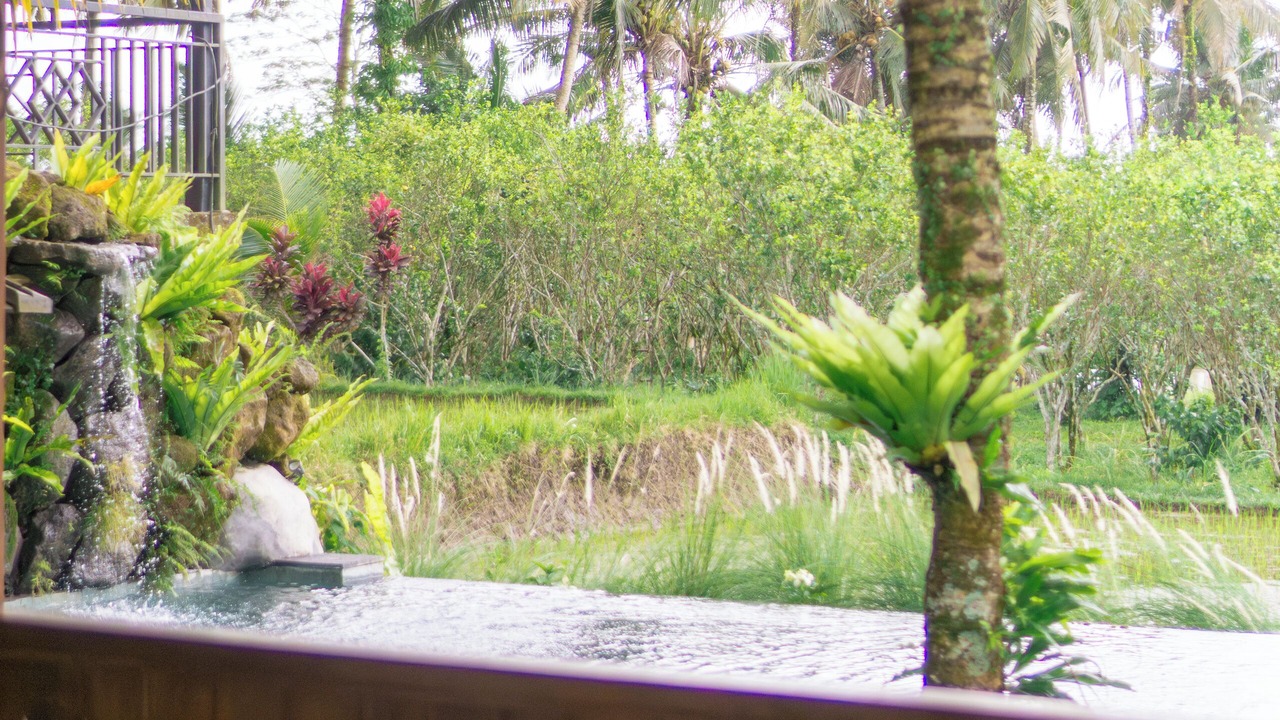 Photo of Outdoor in Payangan