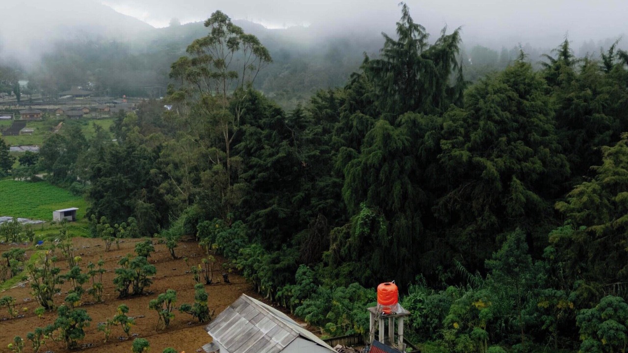 Photo of Outdoor in Dieng Kulon