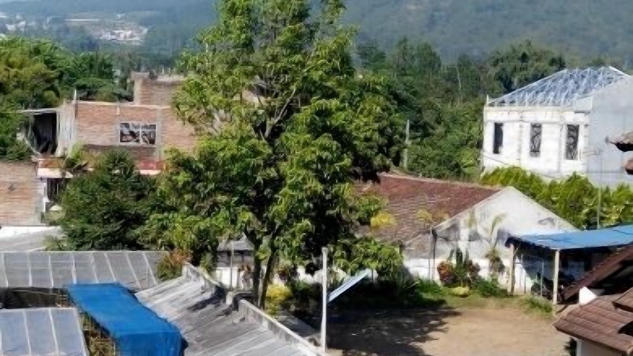 Photo of Outdoor in Sidomulyo