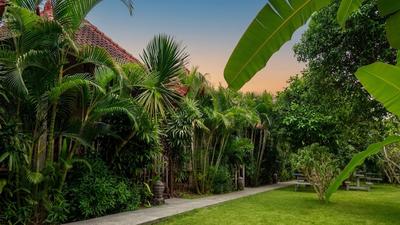 Photo of Outdoor in Mushroom Bay
