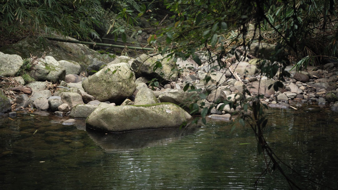 Photo of Outdoor in Penebel