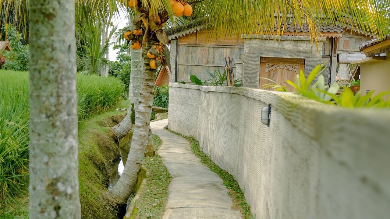 Photo of Outdoor in Sebatu
