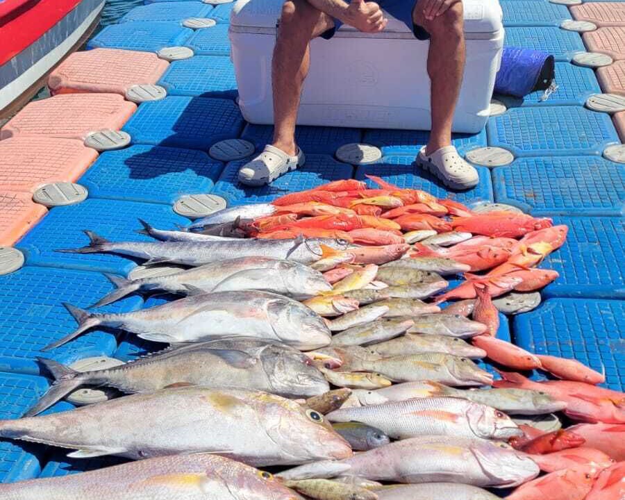 Photo of Others in Biak