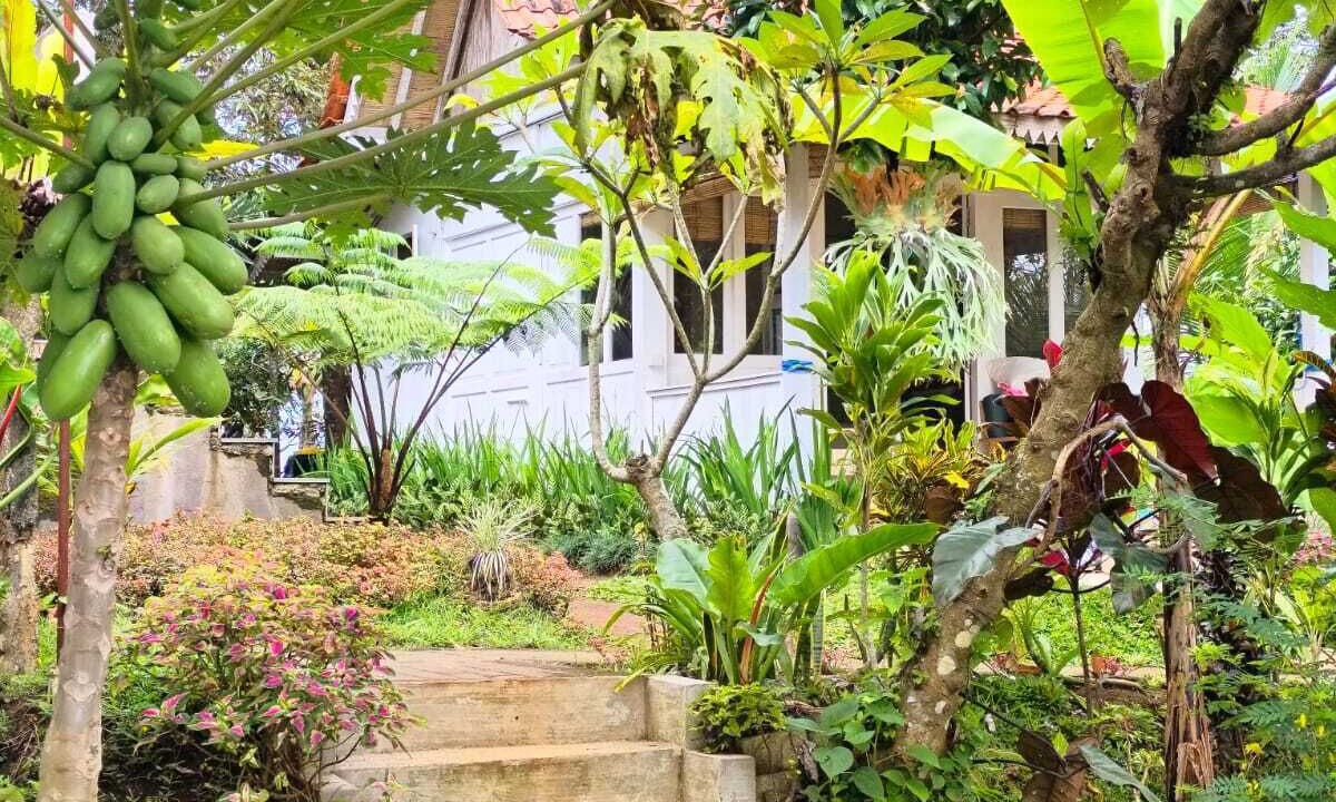 Photo of Outdoor in Banyuwangi