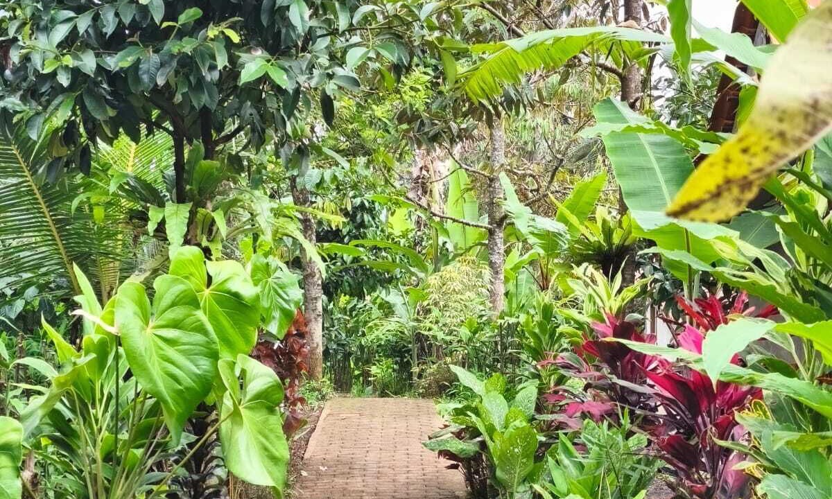 Photo of Outdoor in Banyuwangi