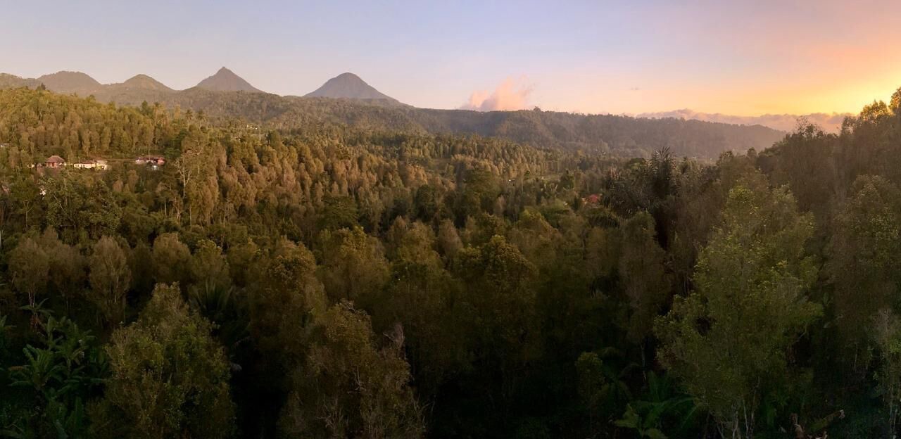 Photo of Outdoor in Munduk