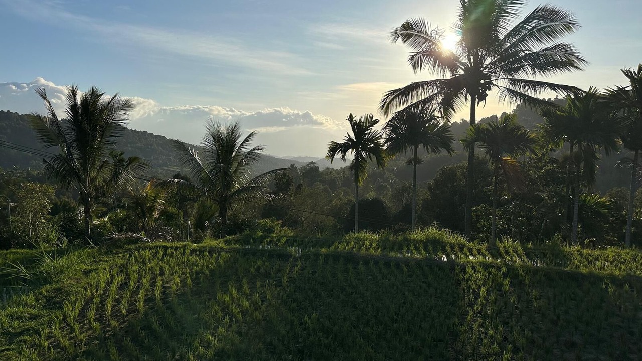Photo of Outdoor in Munduk