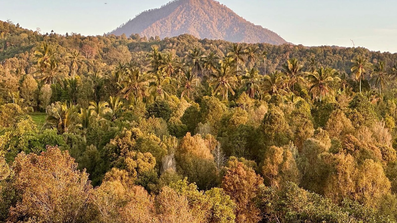 Photo of Outdoor in Munduk