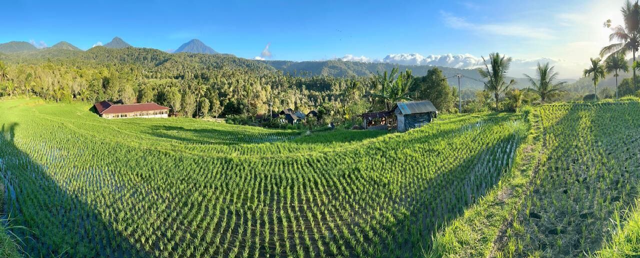 Photo of Outdoor in Munduk