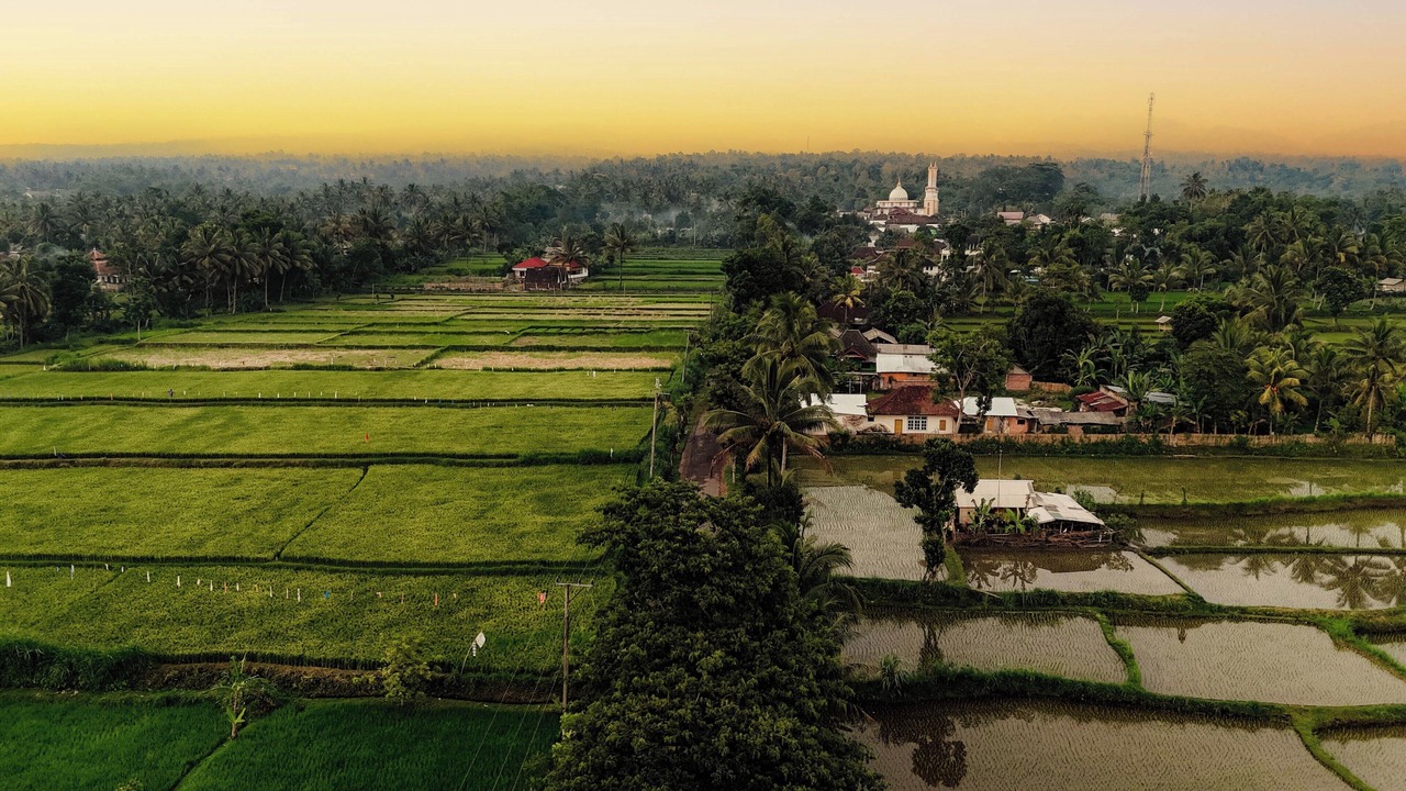 Photo of Others in Tetebatu