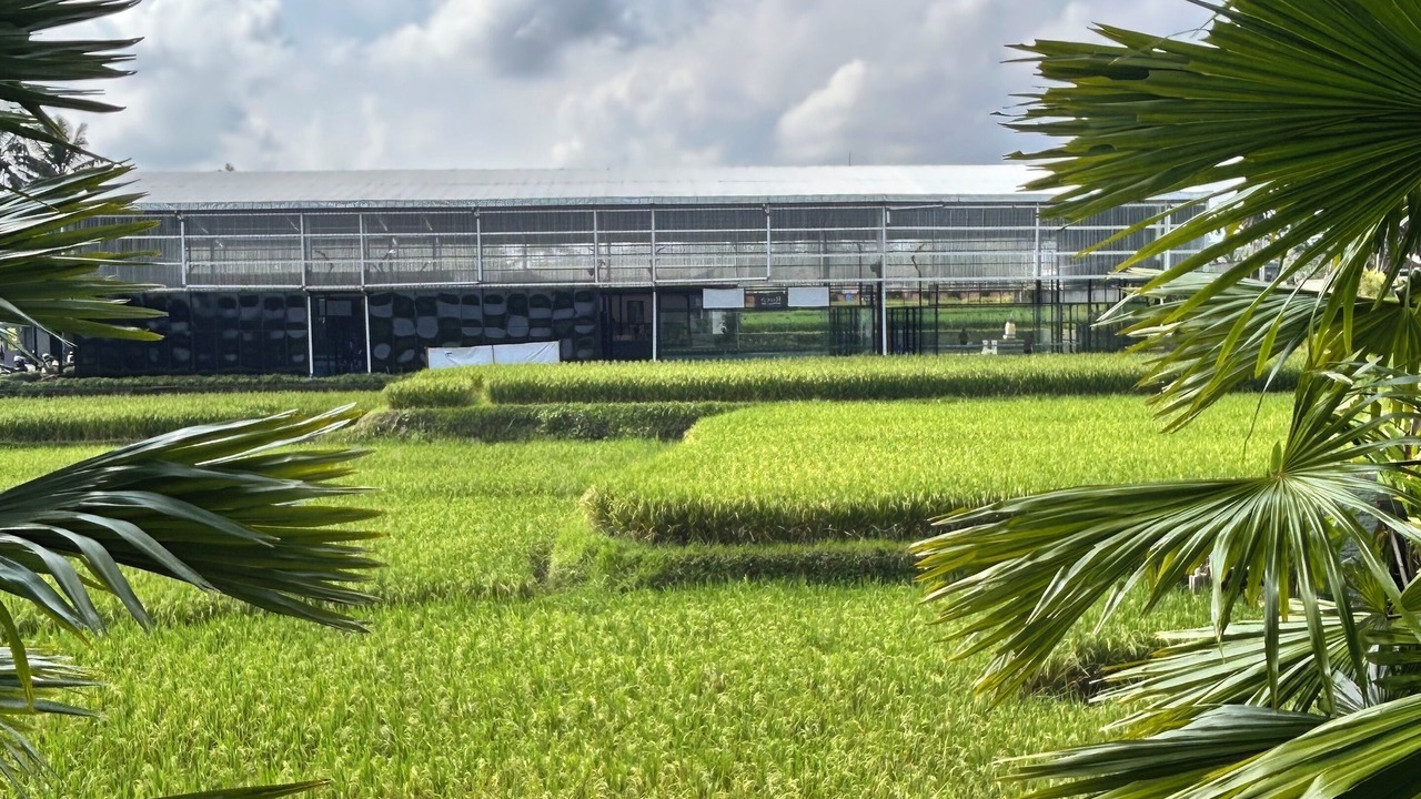 Photo of Outdoor in Petulu