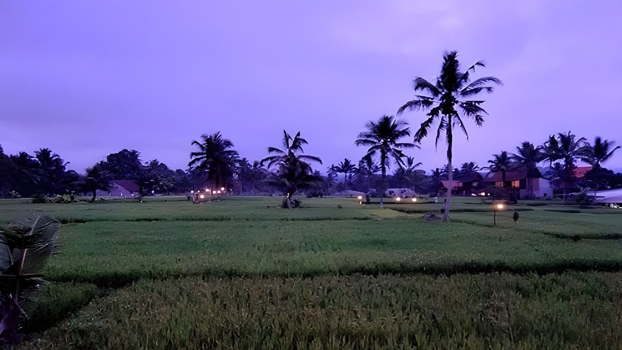 Photo of Others in Sebatu
