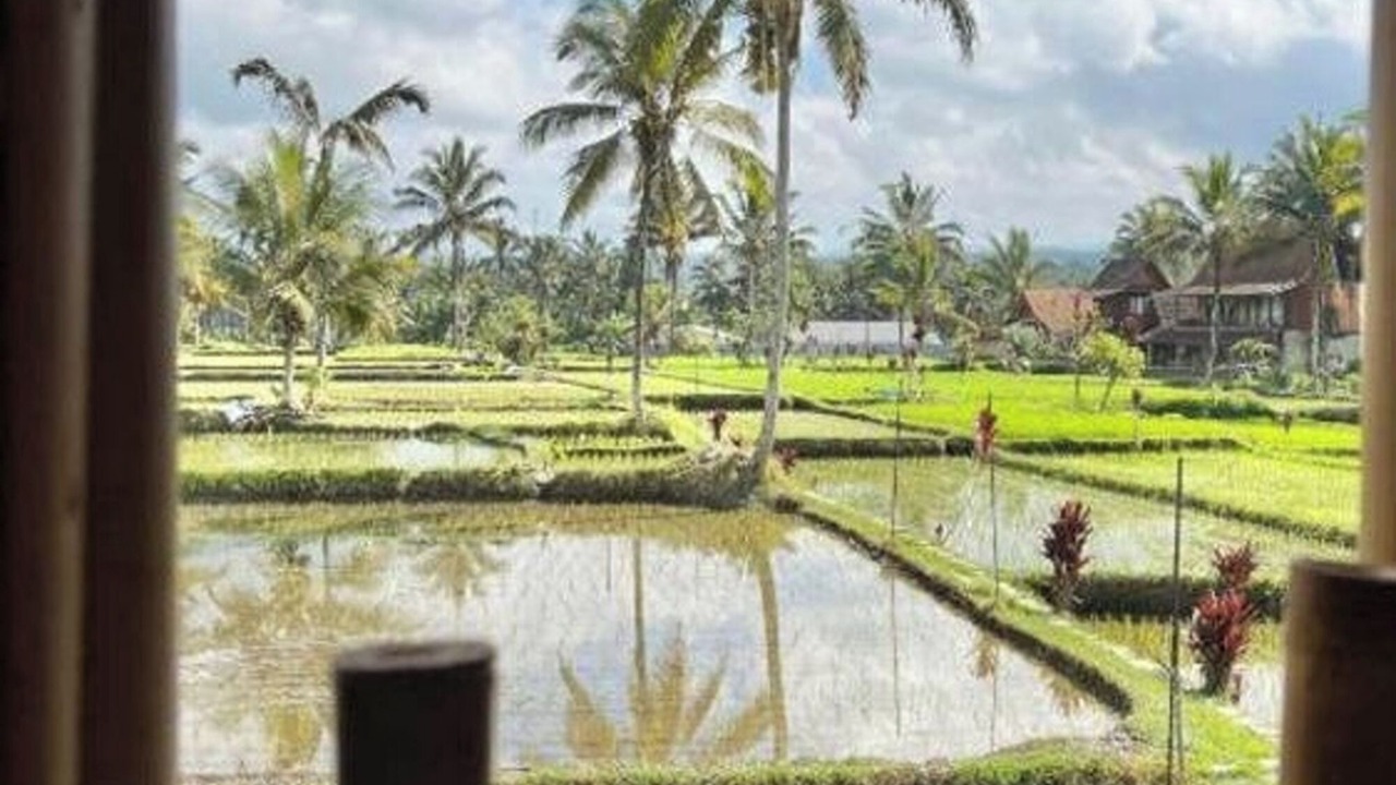 Photo of Outdoor in Sebatu
