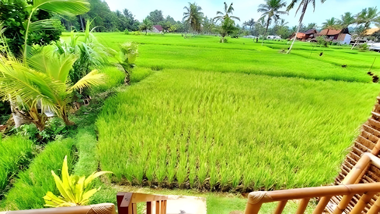 Photo of Others in Sebatu