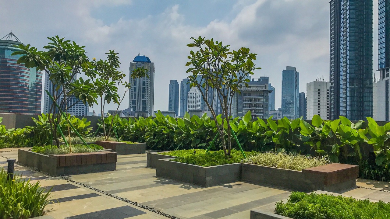 Photo of Outdoor in Semanggi