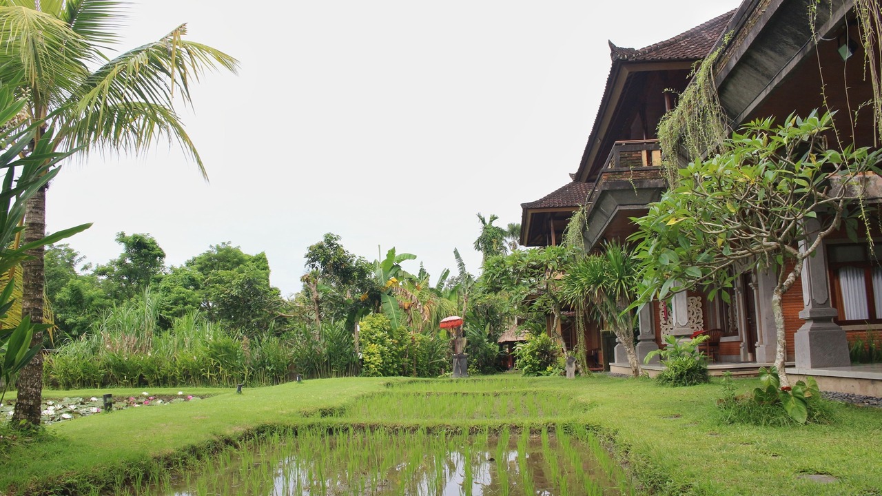 Photo of Outdoor in Nyuh Kuning