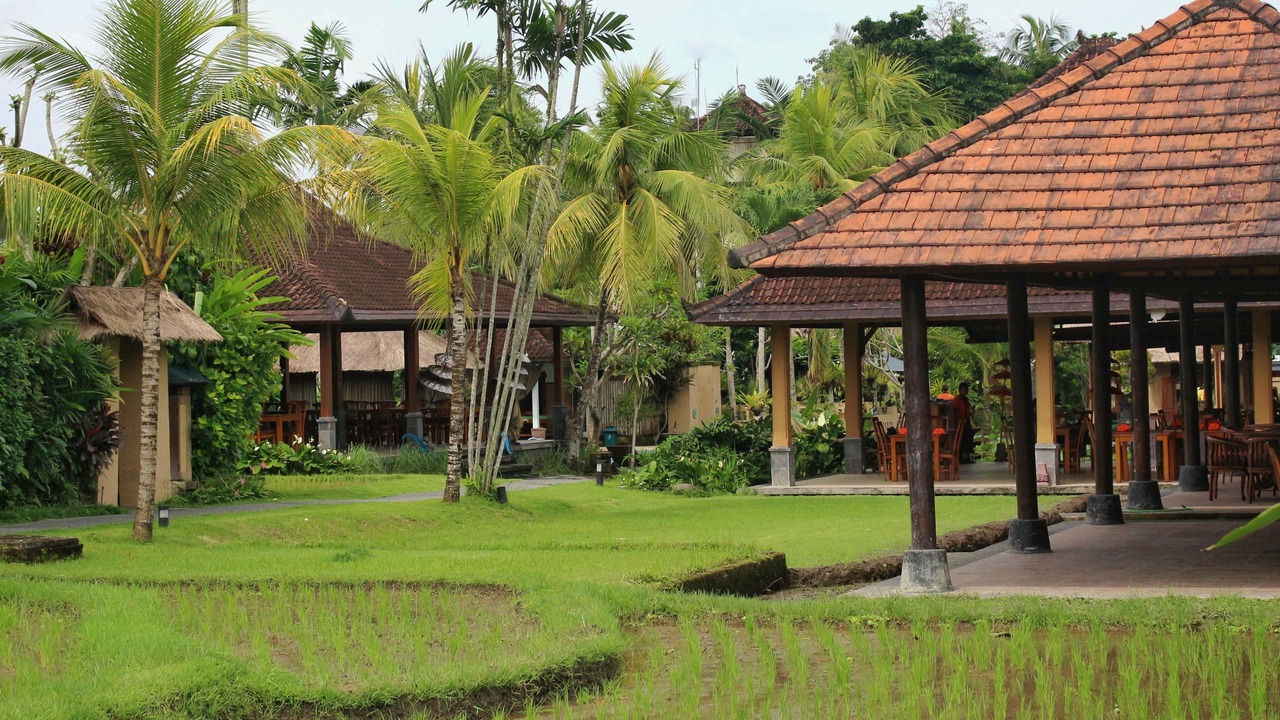 Photo of Outdoor in Nyuh Kuning