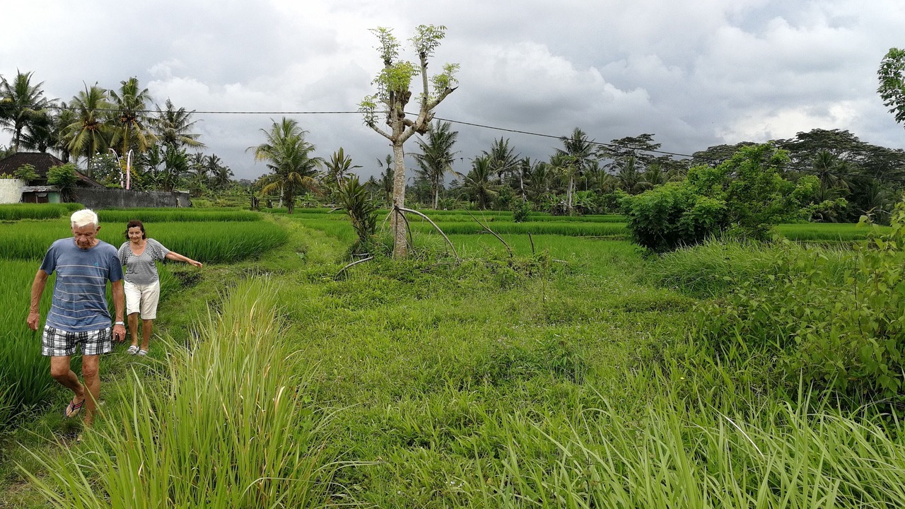 Photo of Outdoor in Kedewatan