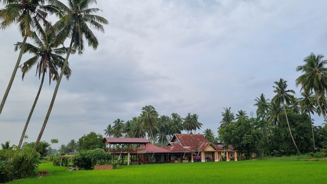 Photo of Outdoor in Payakumbuh