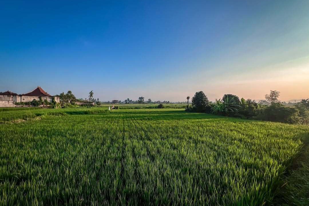 Photo of Outdoor in Gianyar