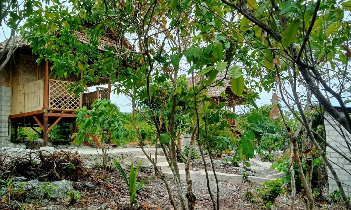 Photo of Others in Tomia Island